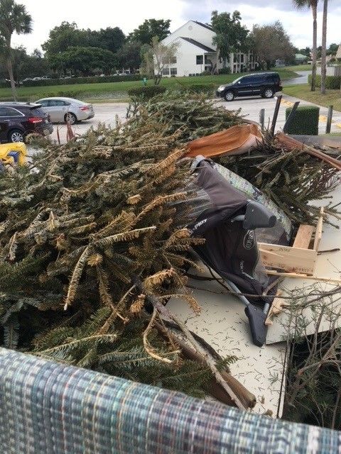 A pile of branches is in the back of a truck