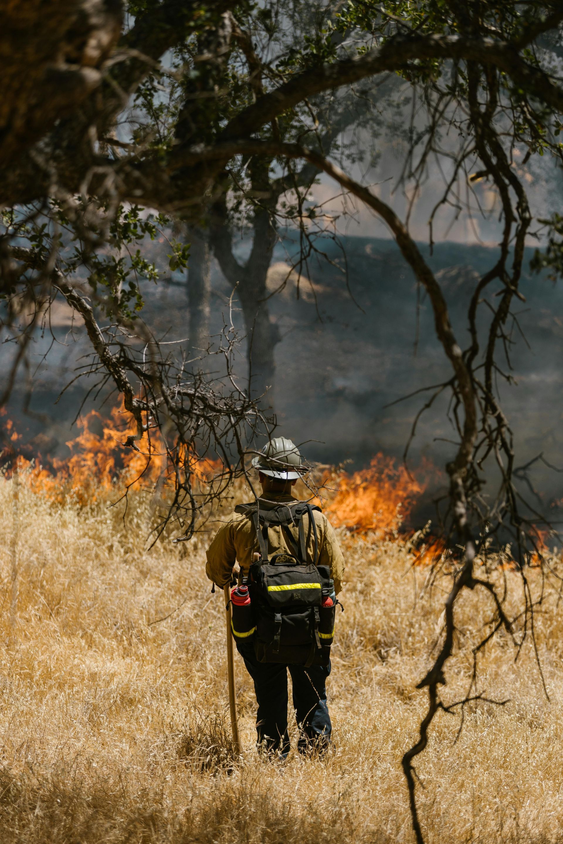 Firefighter in gear facing a wildfire; dry grass and trees, smoke in background.