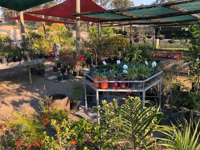 A Garden Filled With Lots of Potted Plants and Flowers — Golden City Gympie Brick & Landscape in Gympie, QLD