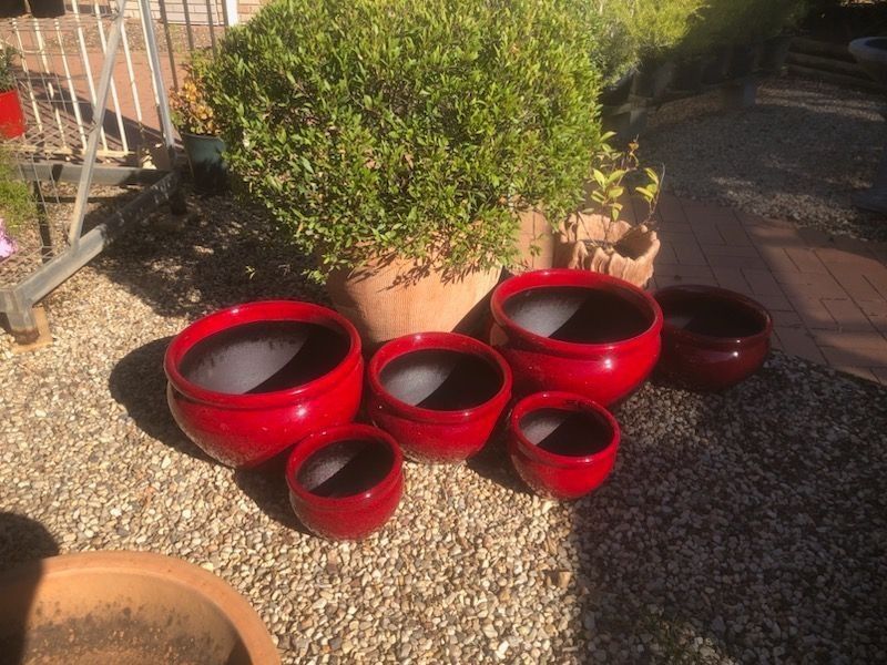 A Group of Red Bowls Are Sitting on Gravel Next to a Potted Plant — Golden City Gympie Brick & Landscape in Gympie, QLD