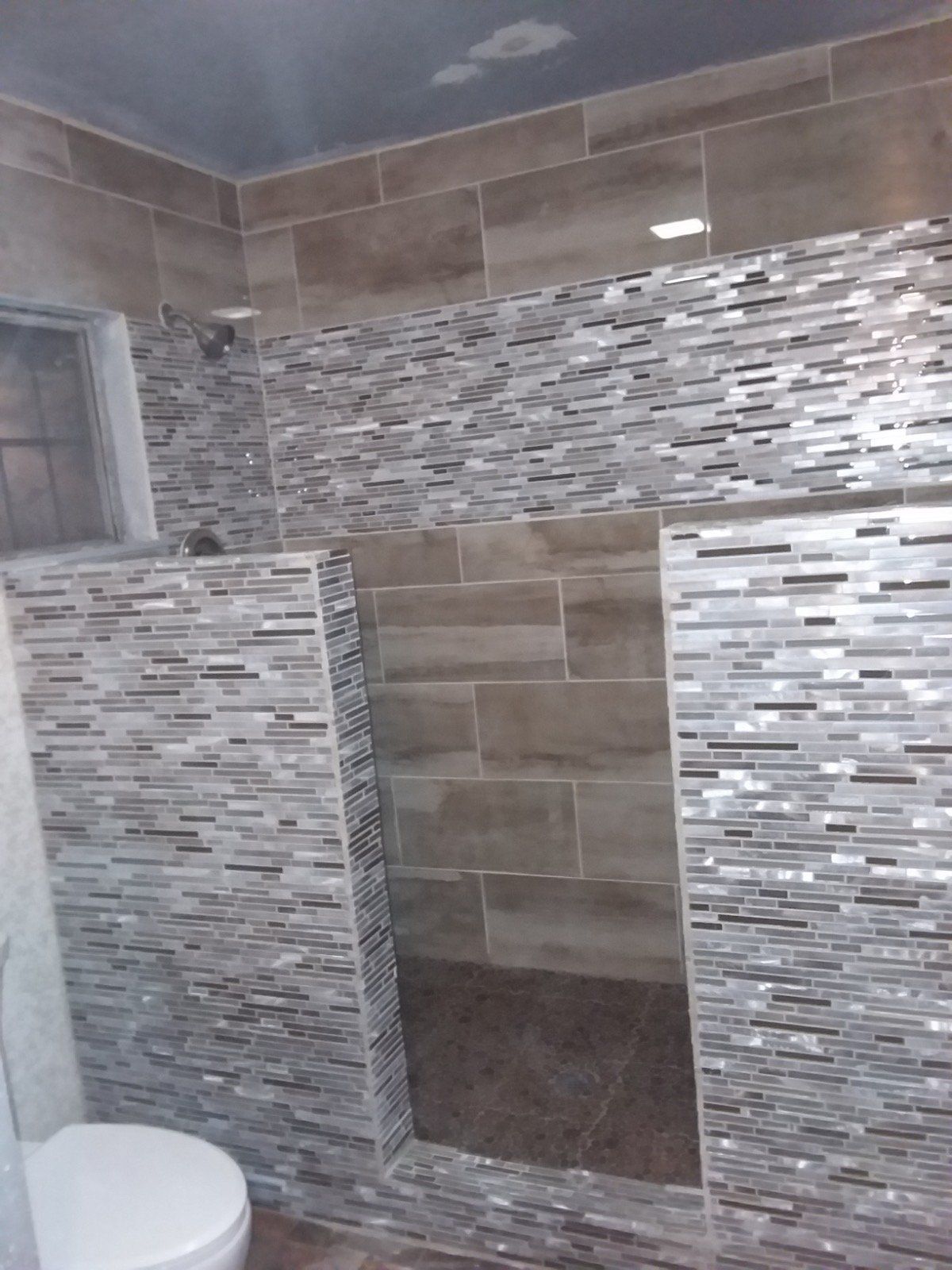 A bathroom with a toilet and a walk in shower.