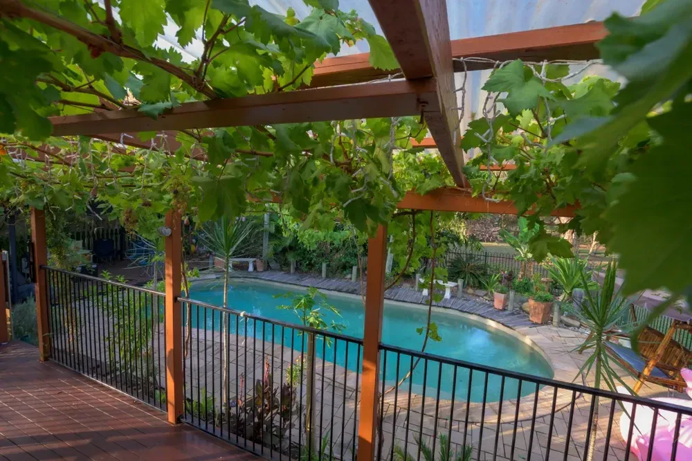 A Wooden Deck With a Grape Vine Trellis Overlooks a Turquoise Swimming Pool — Sun Cool Pools & Spas in Hervey Bay, QLD