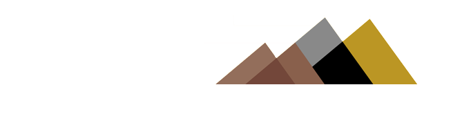 Pinnacle Investment Management LLC Logo