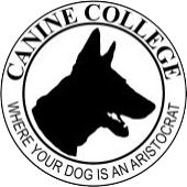 Canine College
