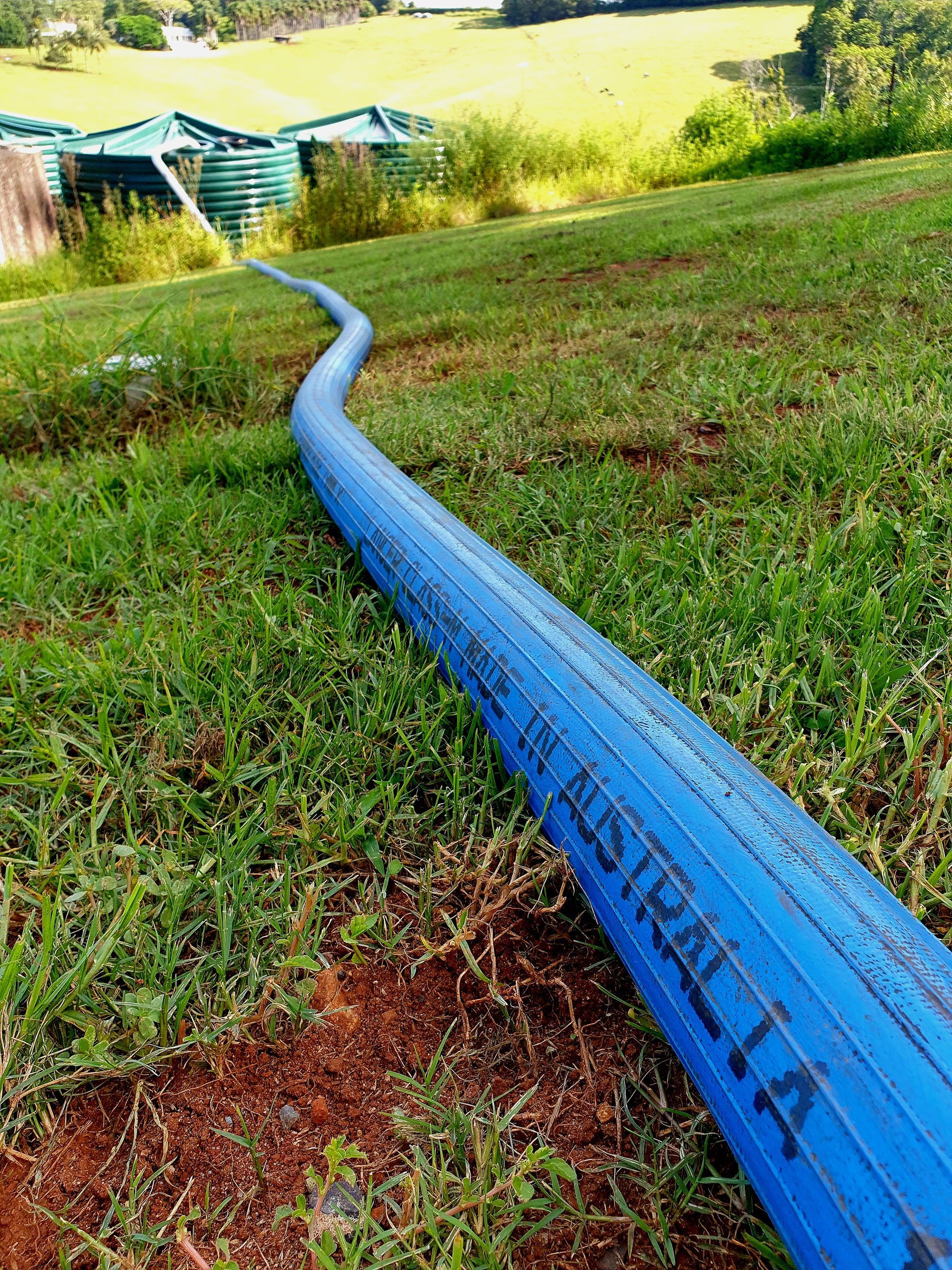 A Blue Hose is Laying in the Grass in a Field — Water 4 You In Clovass, NSW