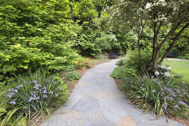 a garden with concrete walkway