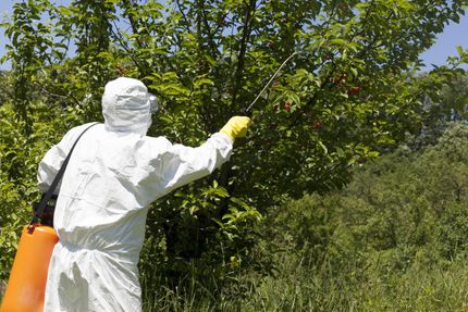 someone spraying pest control