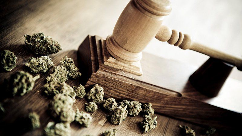 Cannabis Law & Employee Rights
