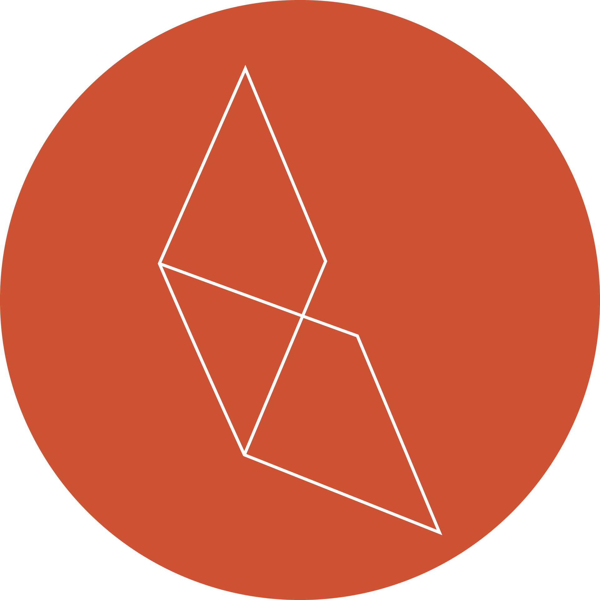 Foveo Consulting | Orange Icon