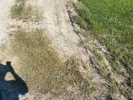 A person is taking a picture of a dirt road next to a grassy field.