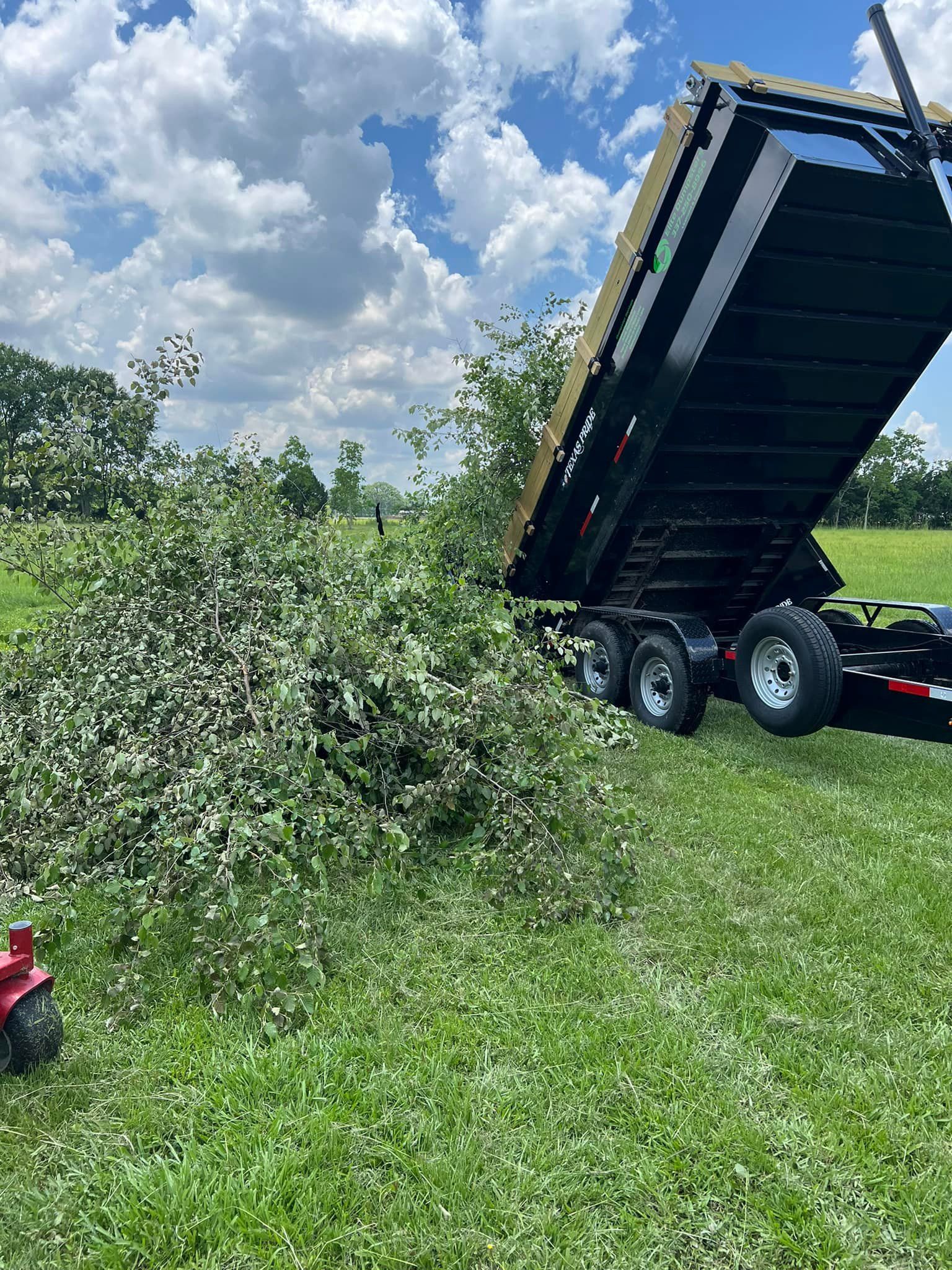 A dump truck is dumping branches into a grassy field.