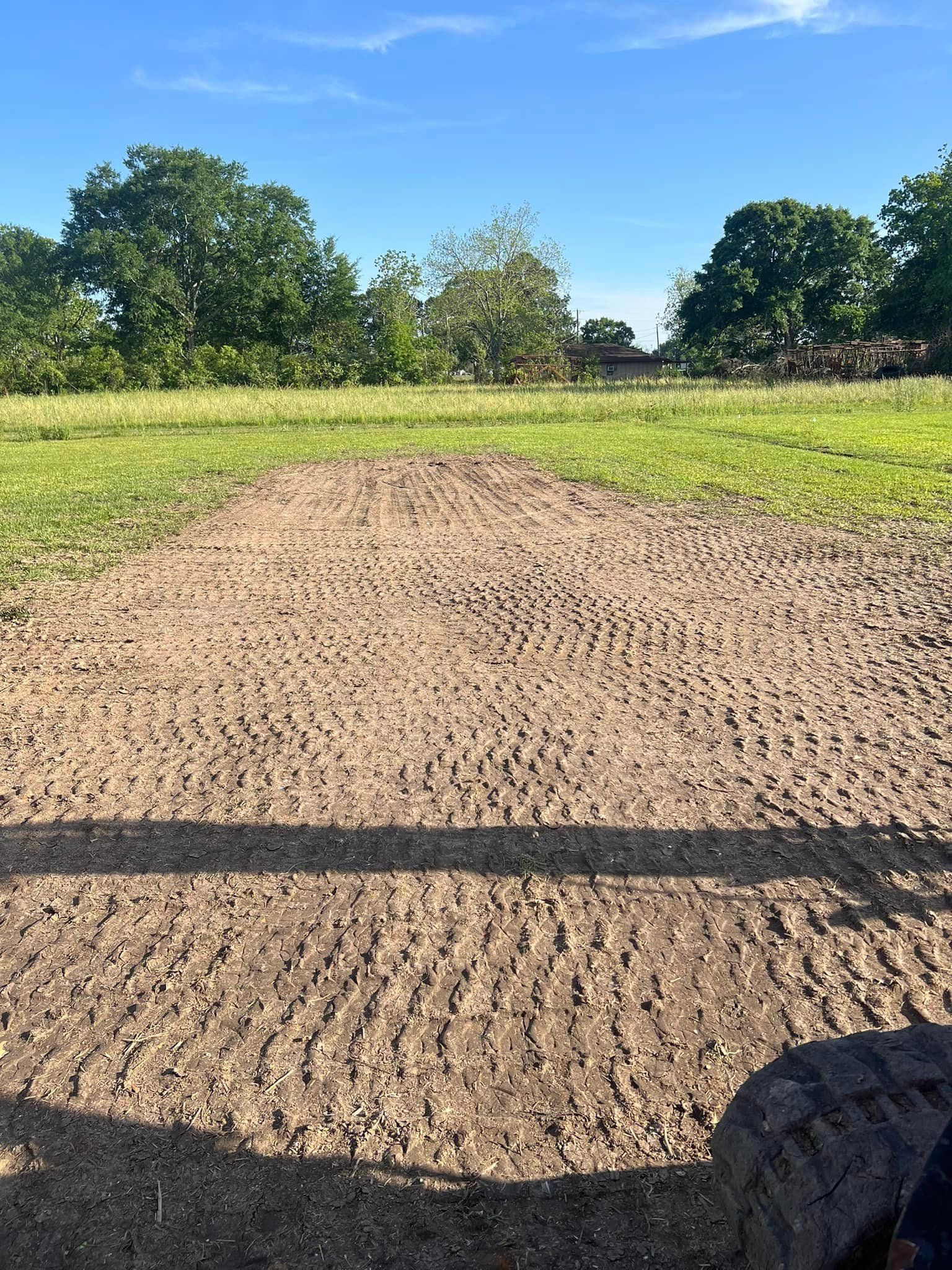 A dirt road going through a grassy field with trees in the background.