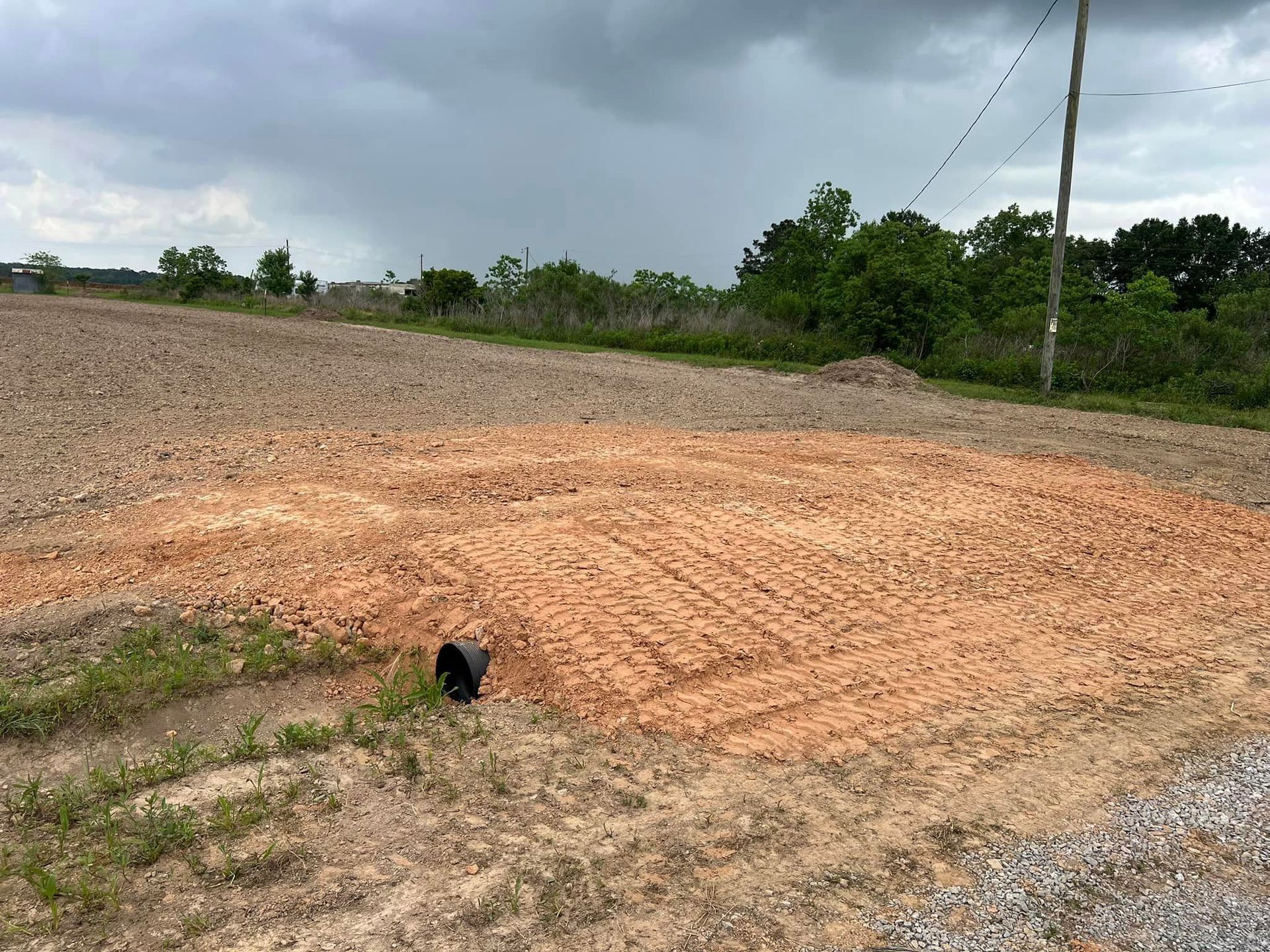 A dog is standing in the middle of a dirt field.