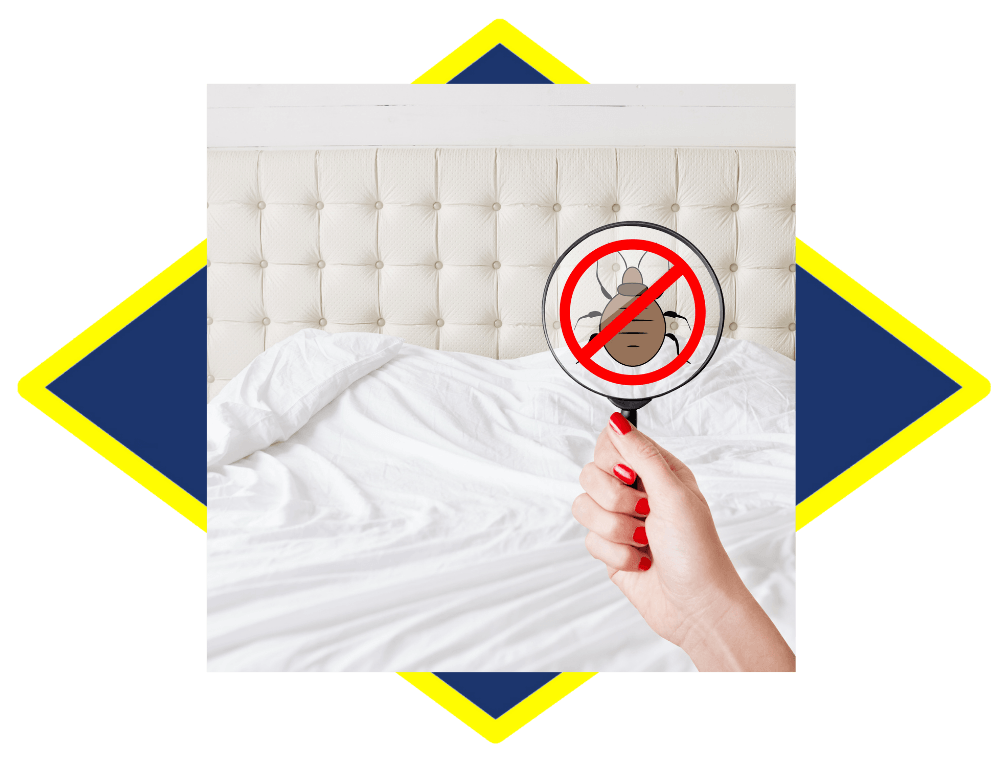 a person is holding a magnifying glass in front of a bed .