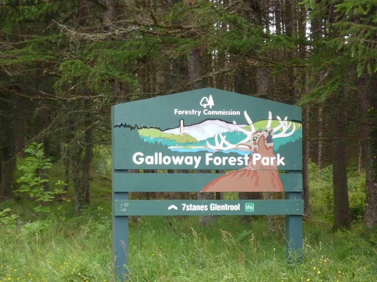 Galloway Forest Park, south west Scotland