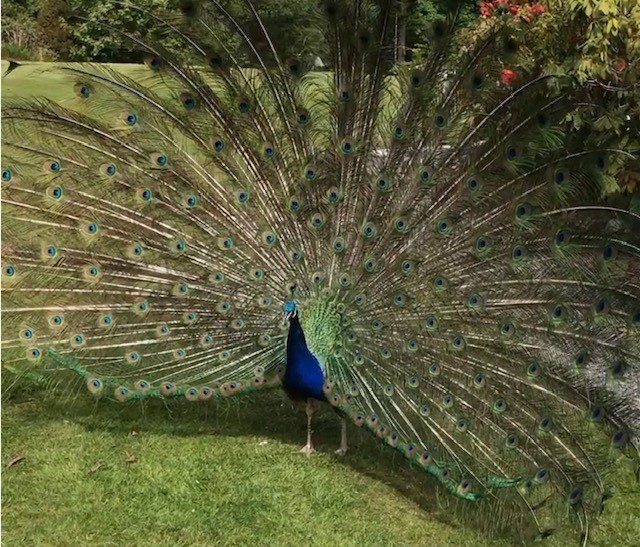 Queensland Holiday Park Reception