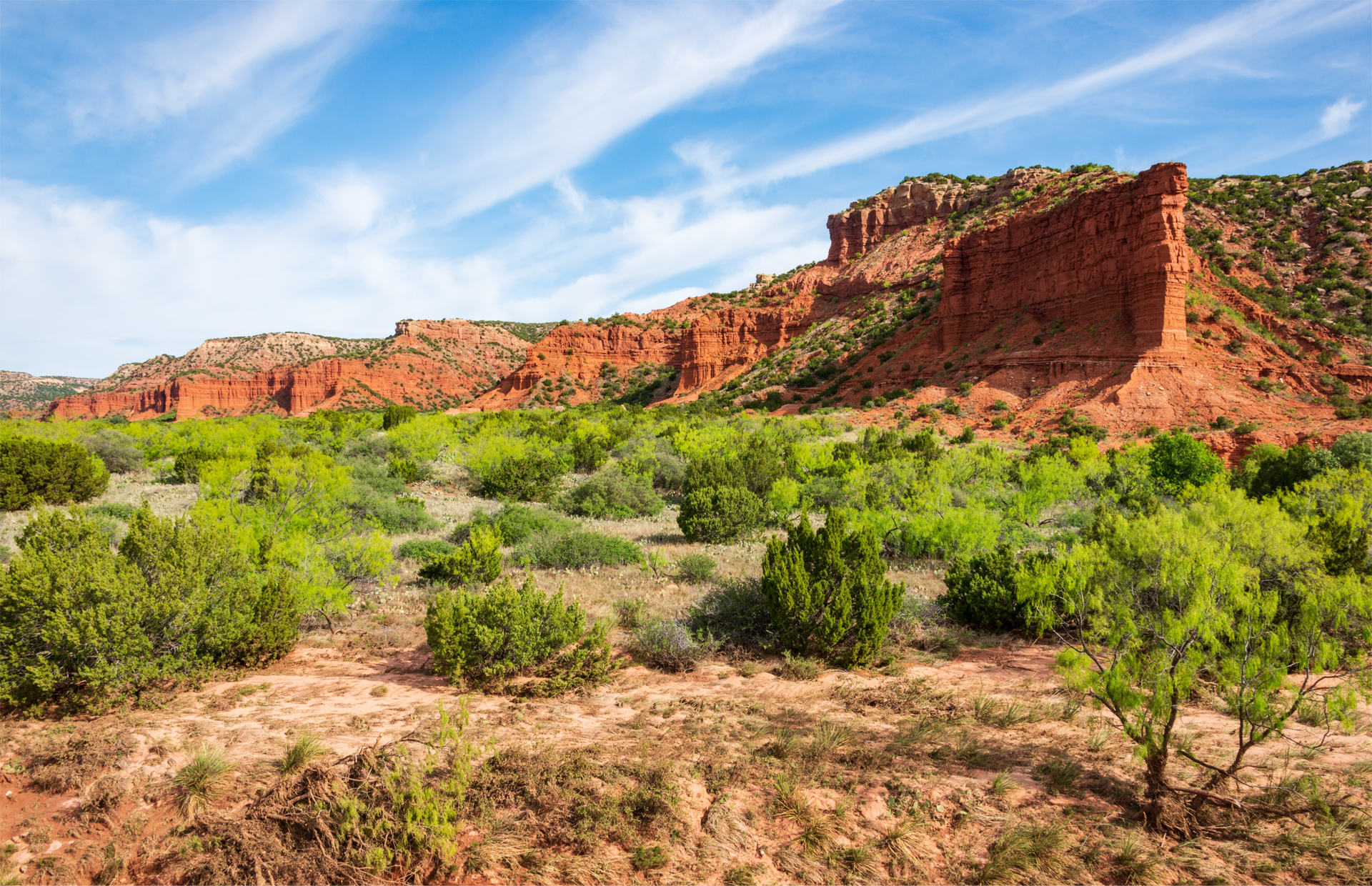 A desert landscape with mountains in the background and trees in the foreground.