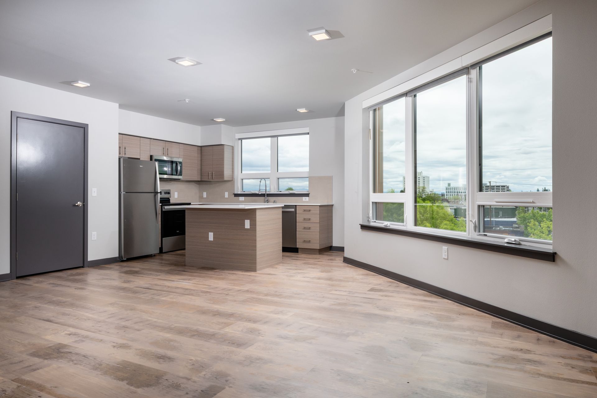 kitchen and living room