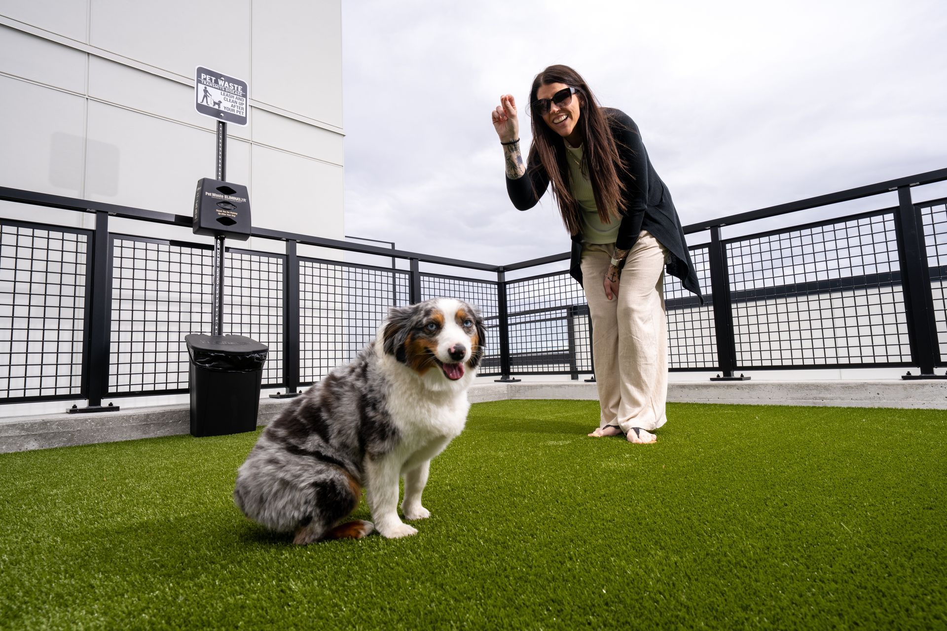 dog on dog run with person