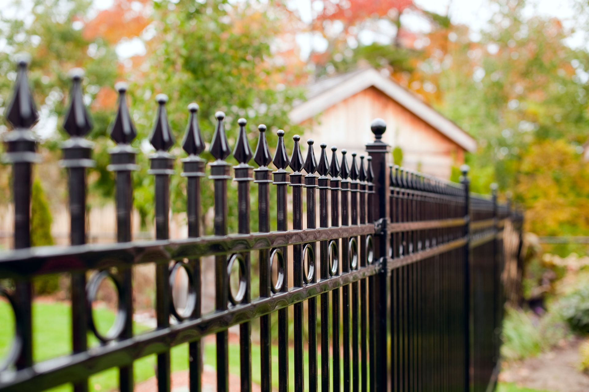 Black wrought iron fence with decorative finials in a yard with a shed and fall foliage.