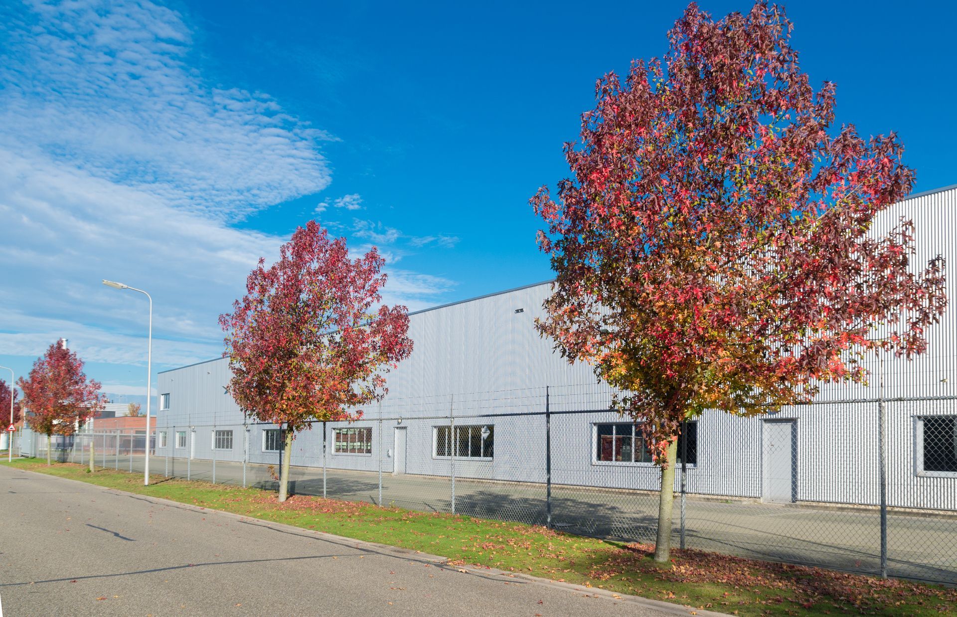 Industrial building with colorful autumn trees lining a quiet road under a bright blue sky.