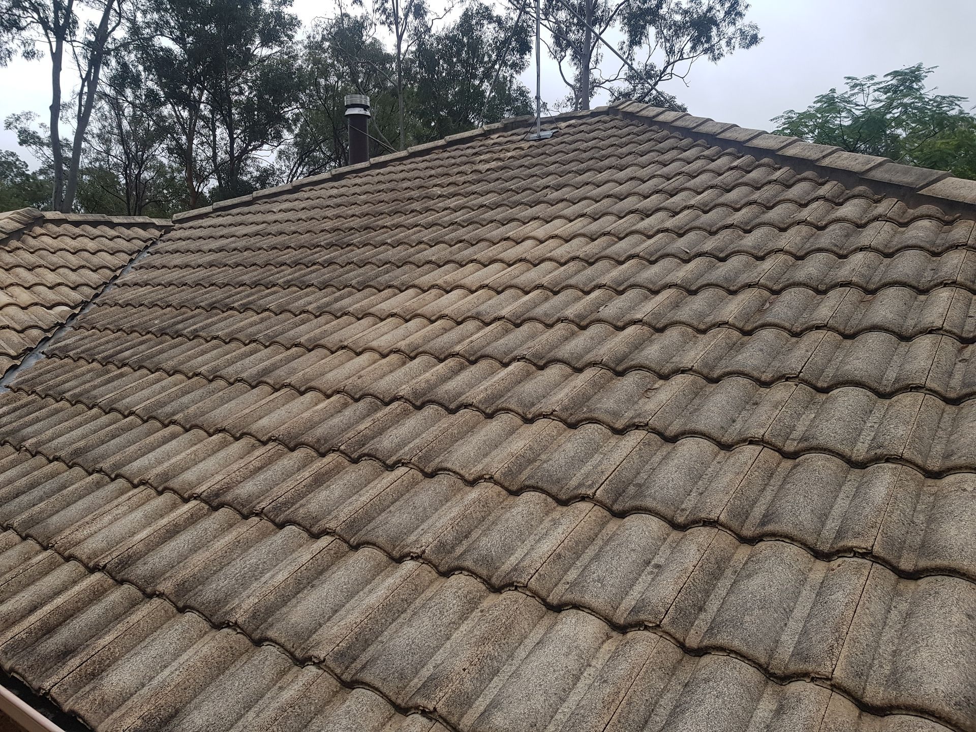 Pressure Washing Roof