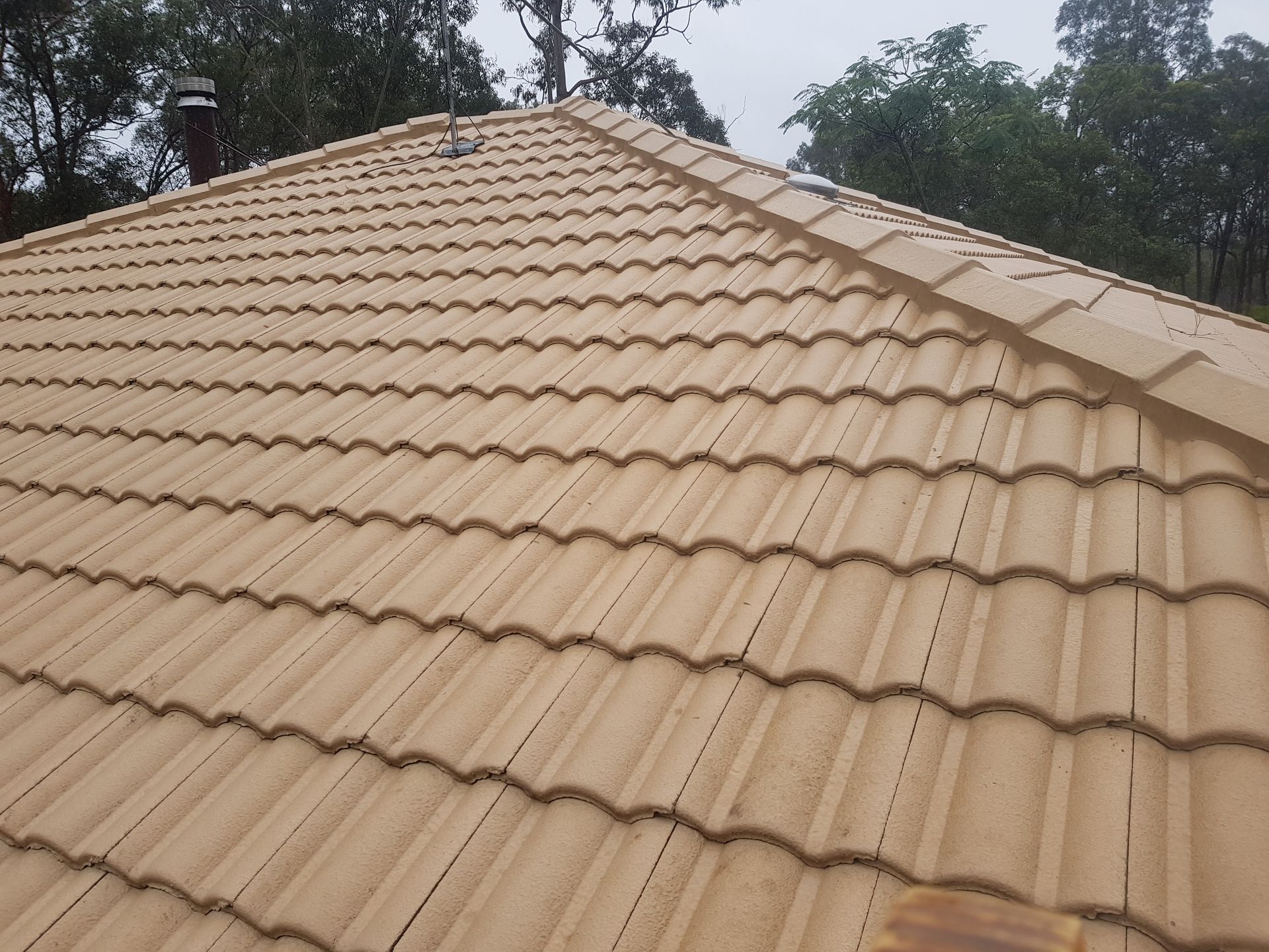 Full Steam Cleaning Services Gympie Sunshine Coast