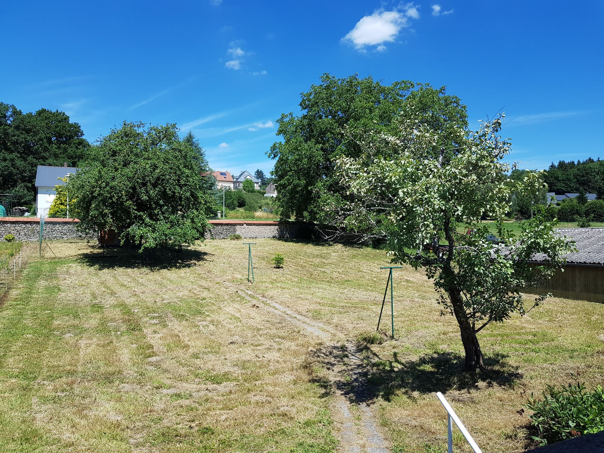 Un jardin ensoleillé avec une pelouse tondue, un muret en pierre, deux arbres fruitiers et une vue lointaine sur des maisons sous un ciel bleu.
