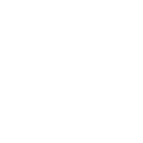 LOGO Villa DCM