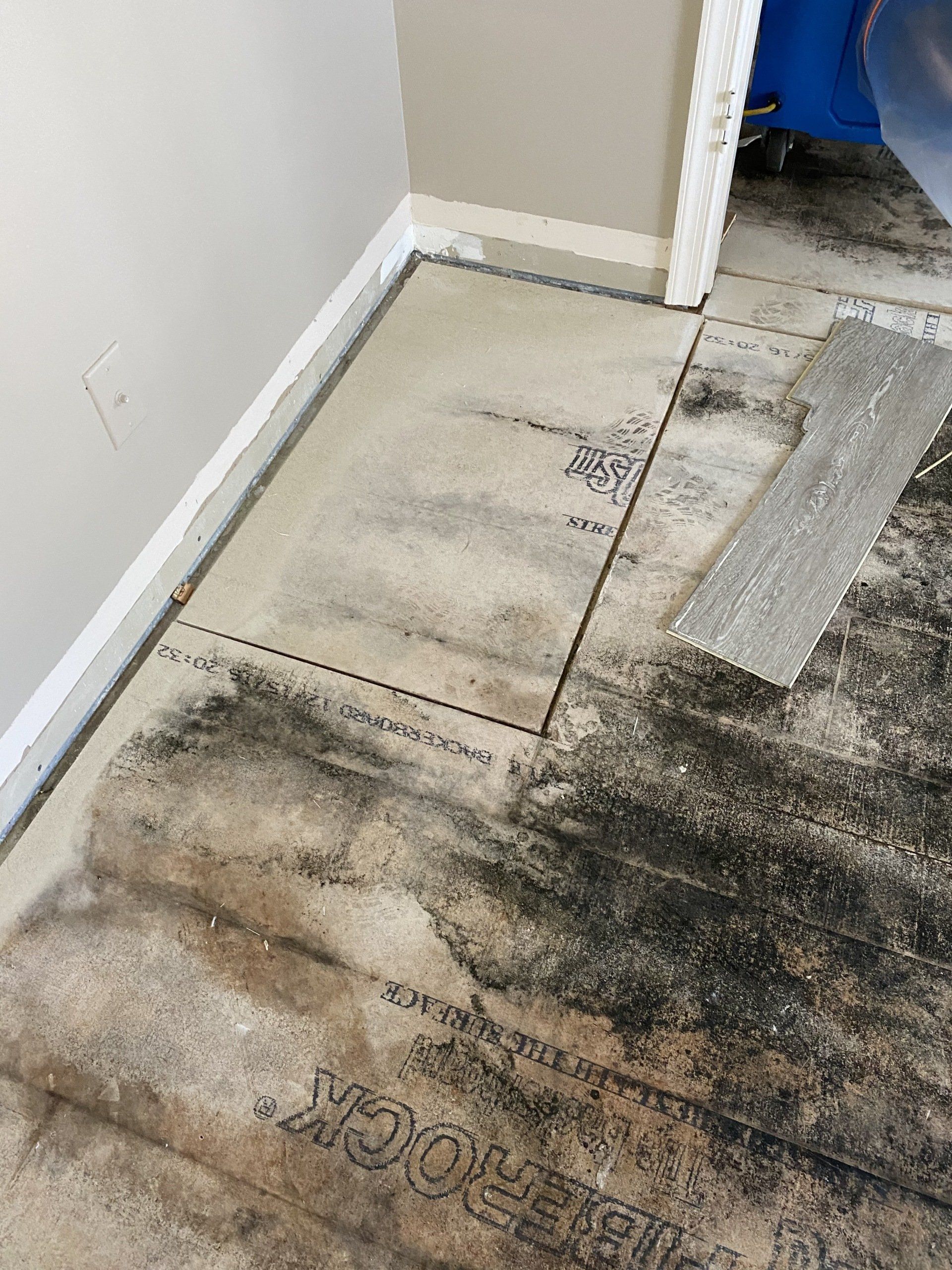 Cleaning Mold On Tiles — Naples, FL — Floods of SW Florida Inc