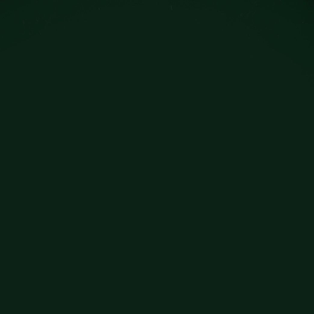A close up of a dark green background.