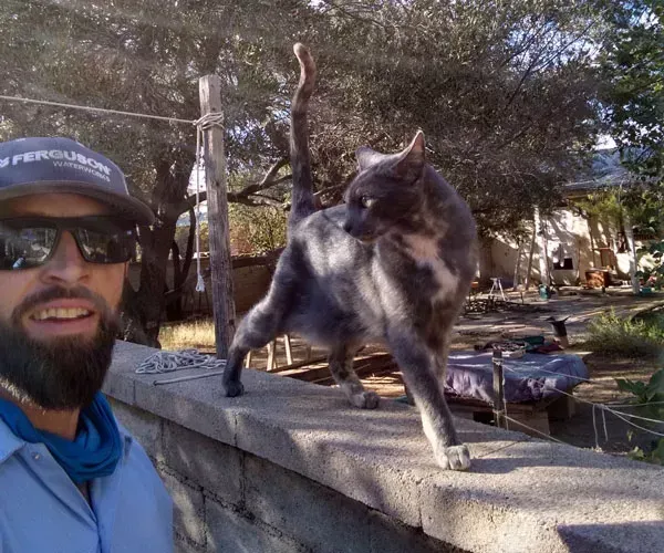 Man taking selfie with gray cat on a concrete wall outside.