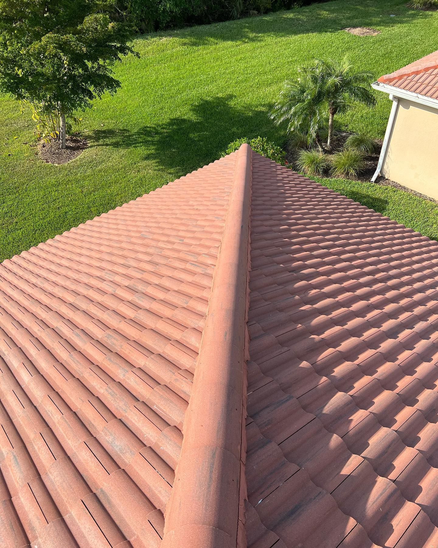 The roof of a house with a red tile roof is surrounded by grass and trees.