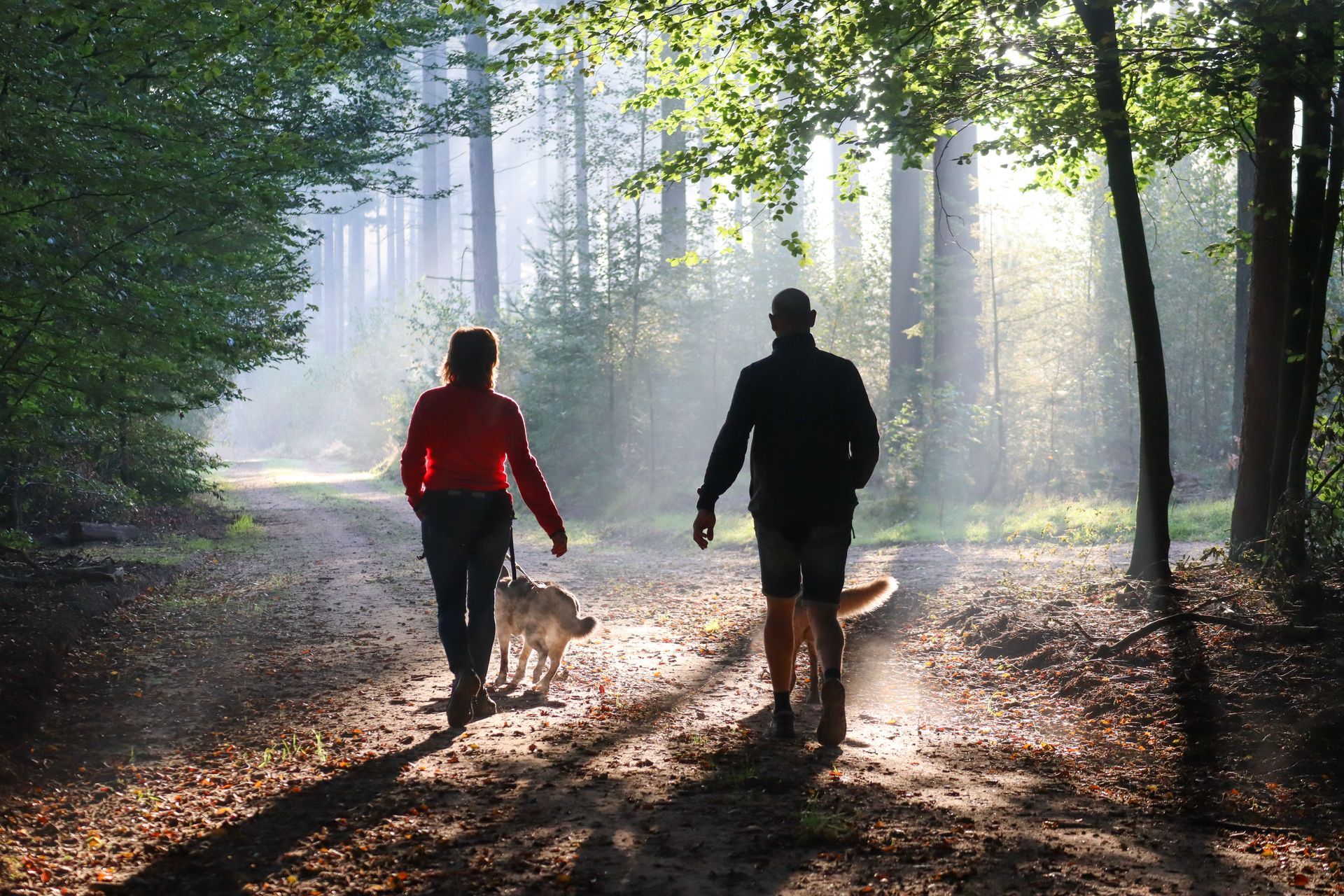 Een stel wandelt met hun honden op een bospad, het zonlicht schijnt door de bomen.