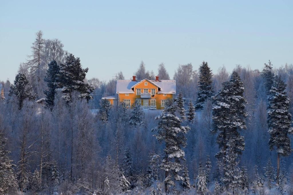 Geel huis, verscholen tussen de met sneeuw bedekte bomen in een winterlandschap onder een lichtblauwe lucht.