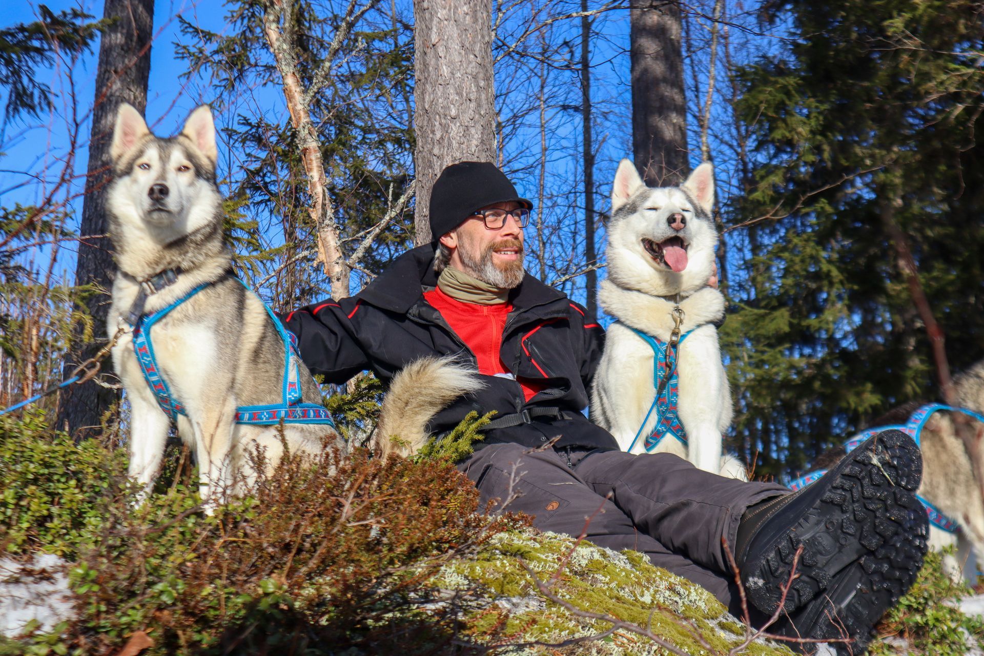 Een man ontspant met twee husky's in een besneeuwd bos. De man draagt een zwarte jas en hoed. De honden dragen blauwe tuigen.