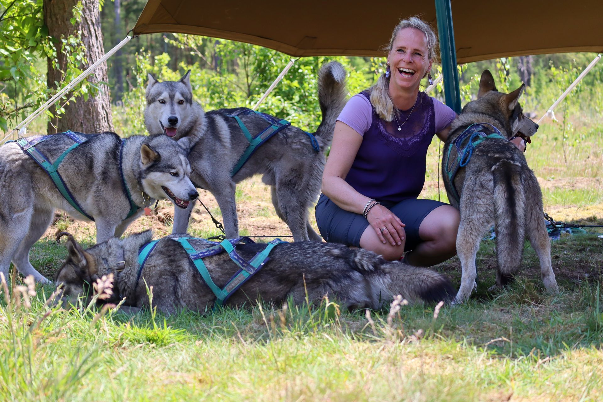 Een lachende vrouw, omringd door vijf husky's in tuigen onder een bladerdak in een bosrijk gebied.