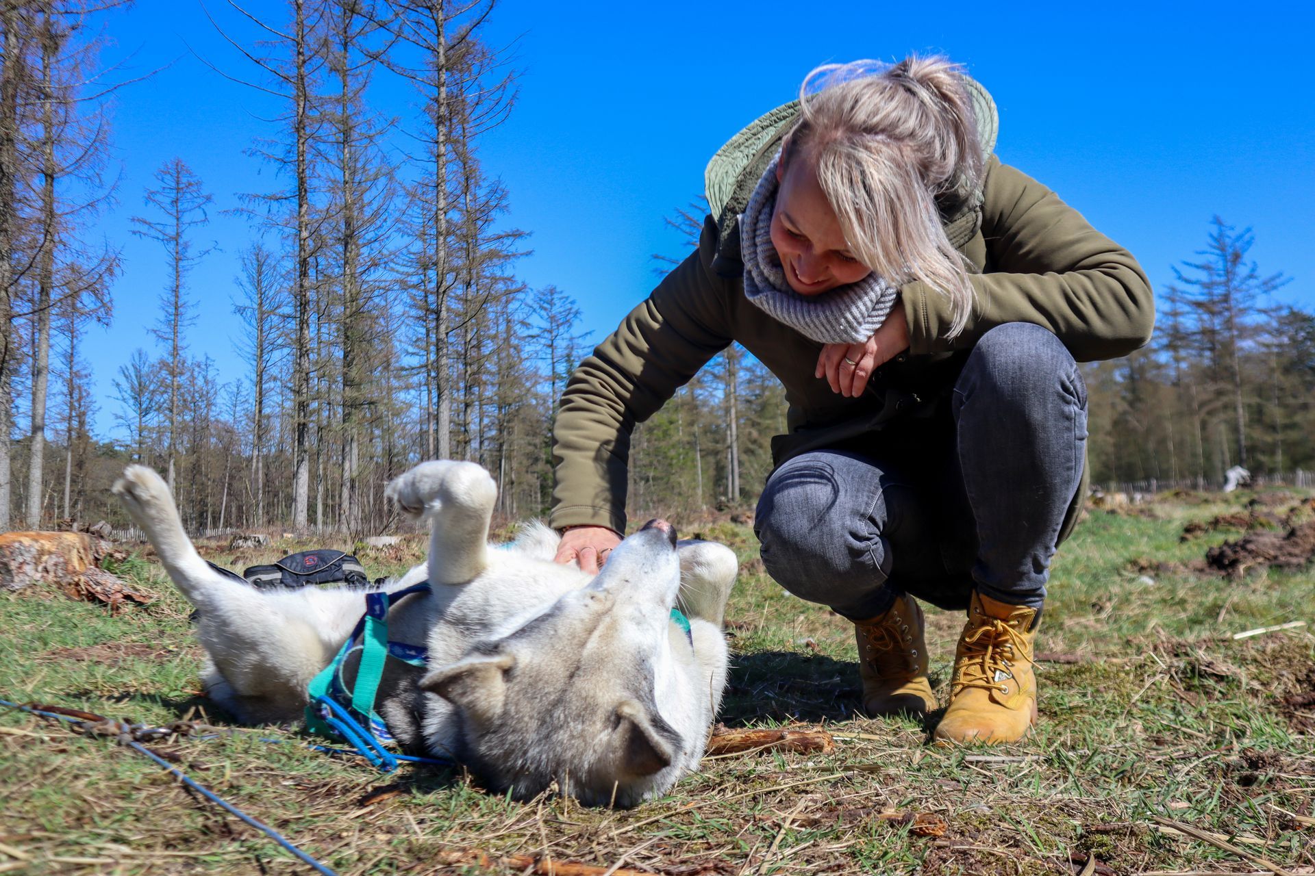 Vrouw aait een lichtgekleurde hond die op zijn rug ligt in het gras, blauwe lucht en bomen.