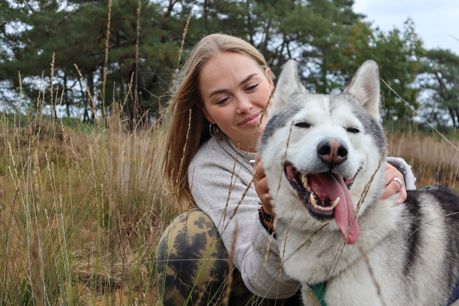 Een vrouw in een veld aait een vrolijke, grijs-witte husky met zijn tong uitgestoken.