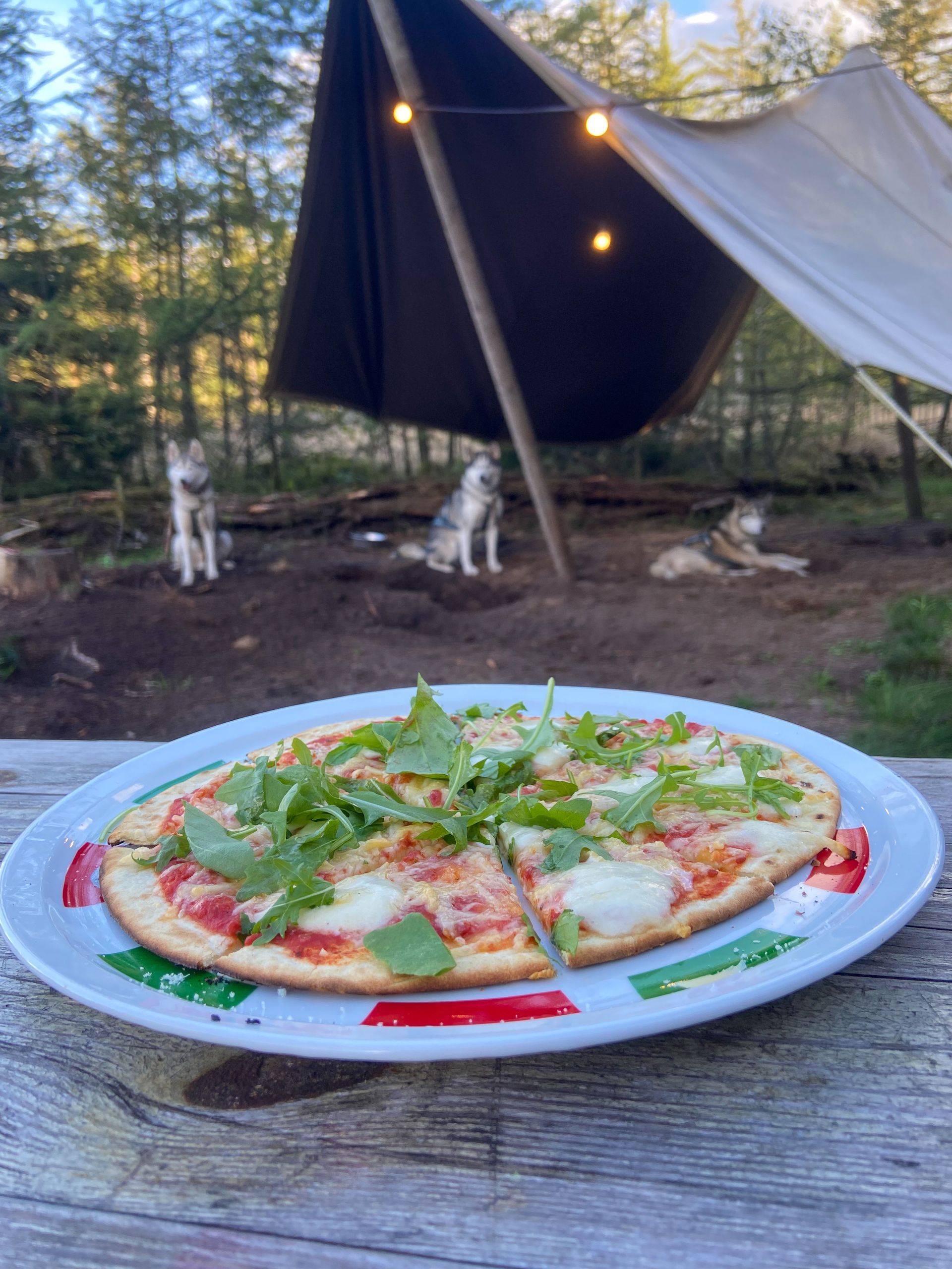 Pizza op een bord in de buitenlucht, met honden op de achtergrond onder een tent met lampjes.