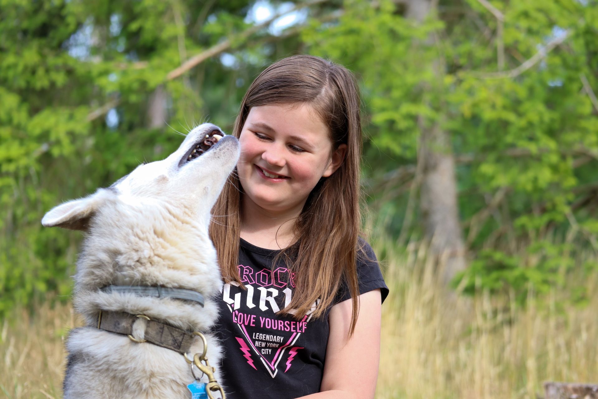 Meisje lacht terwijl een huskyhond haar gezicht likt.
