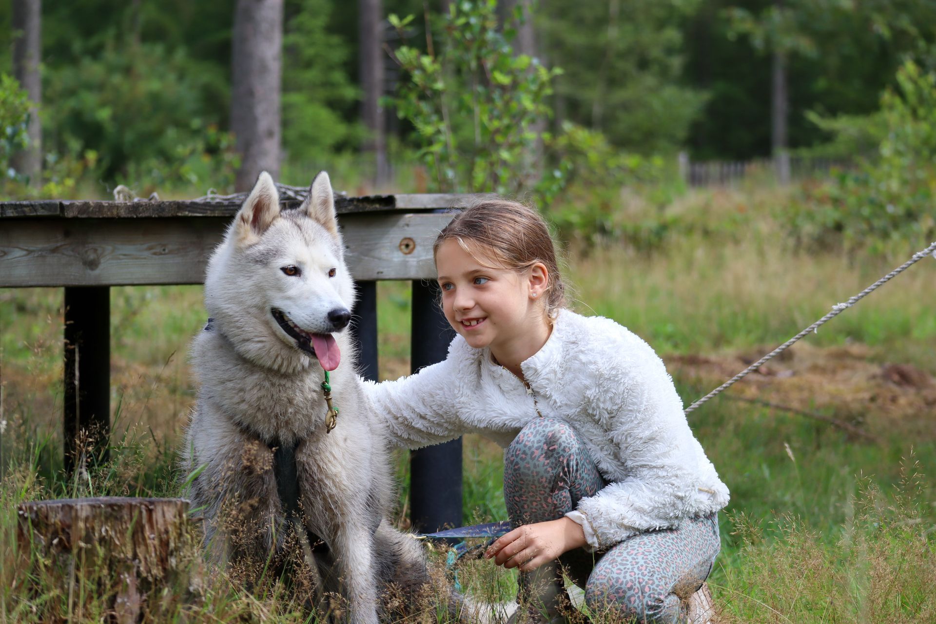 Een meisje knielt en aait een husky in een grasveld buiten, vlak bij een houten bouwwerk.