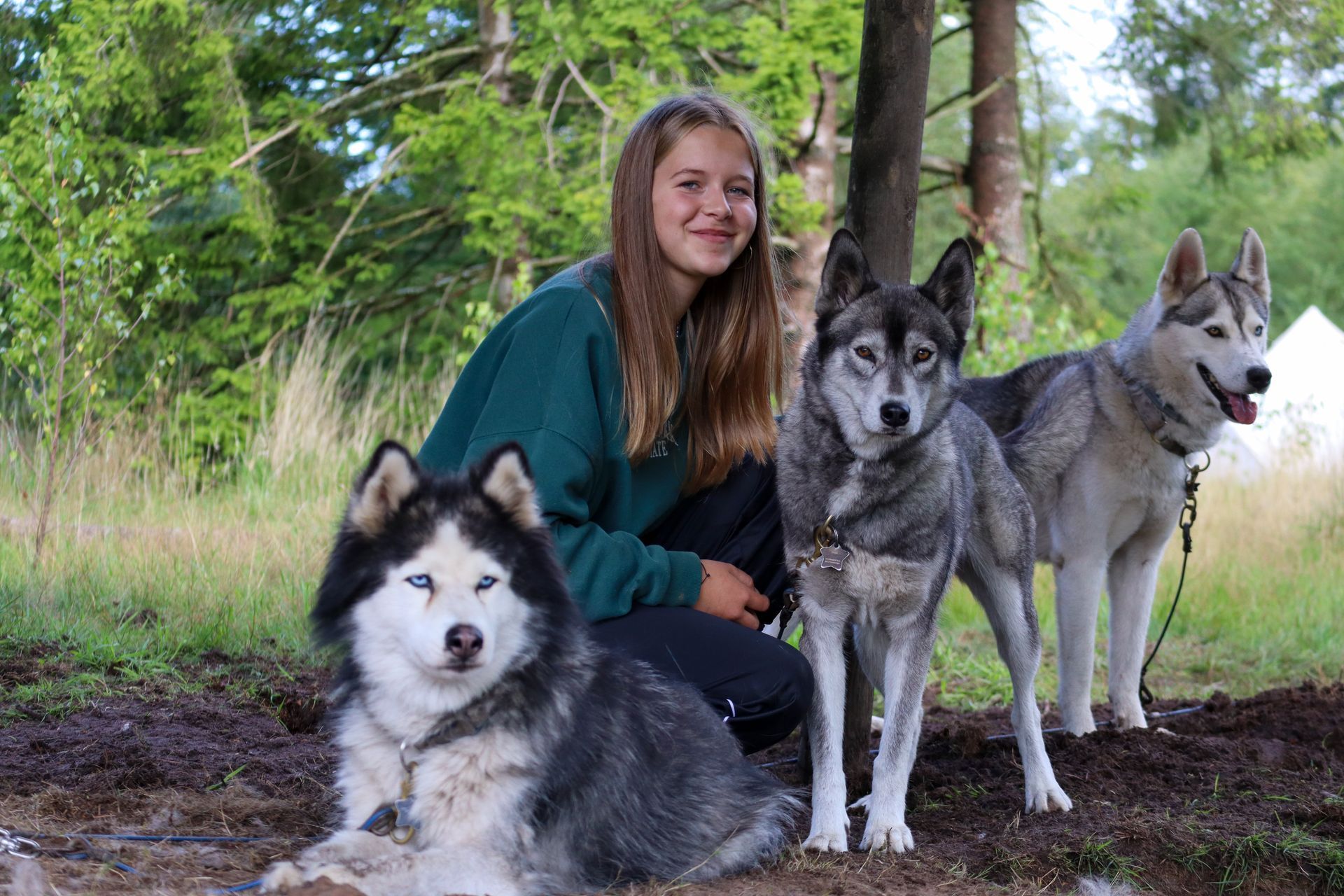Een glimlachende vrouw poseert met drie husky's in een bosrijk gebied. Eén hond zit, twee staan, allemaal aangelijnd.