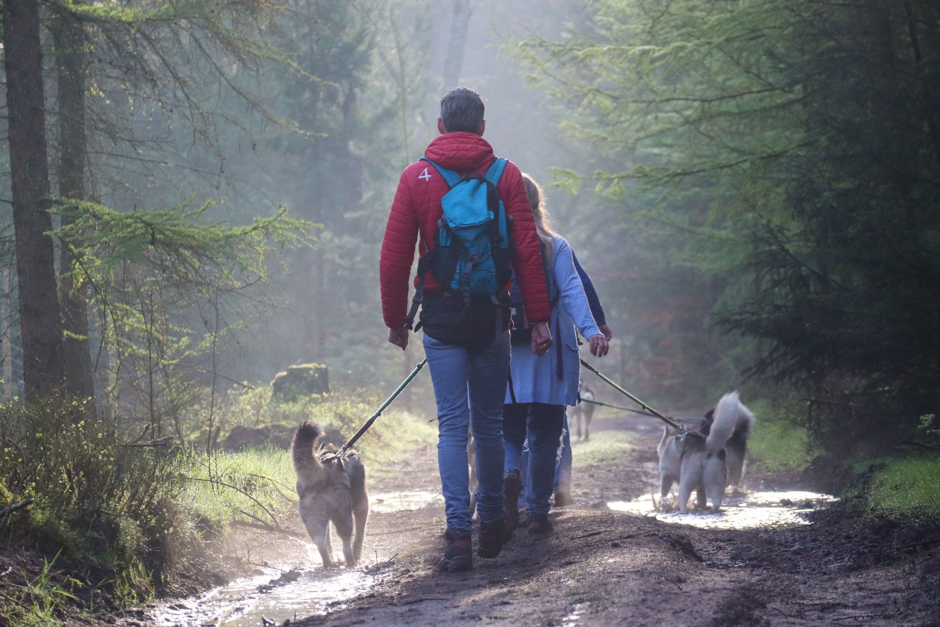 Twee personen laten twee husky's uit op een modderig pad in het bos. Eén persoon draagt ​​een rode jas en een rugzak.