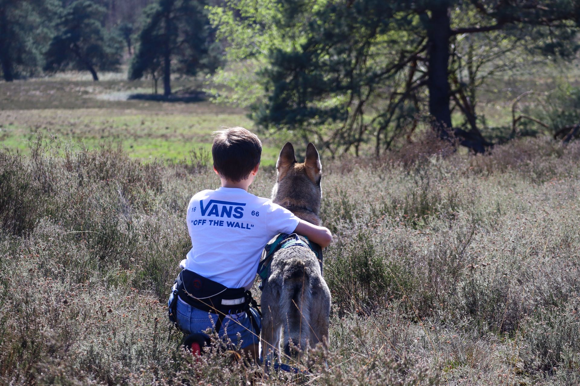 Een jongen met een Vans-shirt knuffelt een hond in een veld, met bomen op de achtergrond.