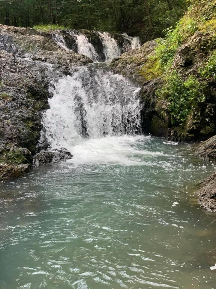 A small waterfall in the middle of a river surrounded by rocks and trees.