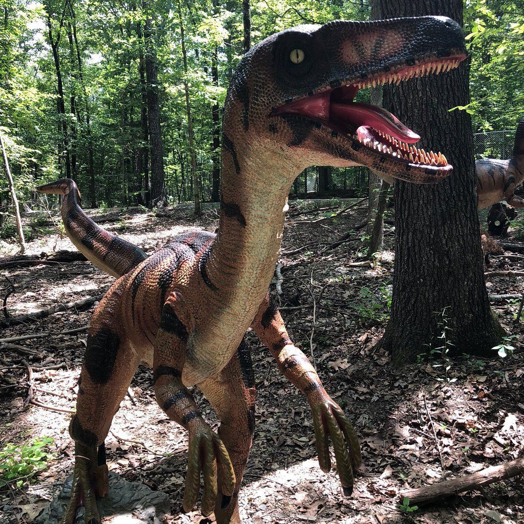 A dinosaur is standing in the woods with its mouth open.