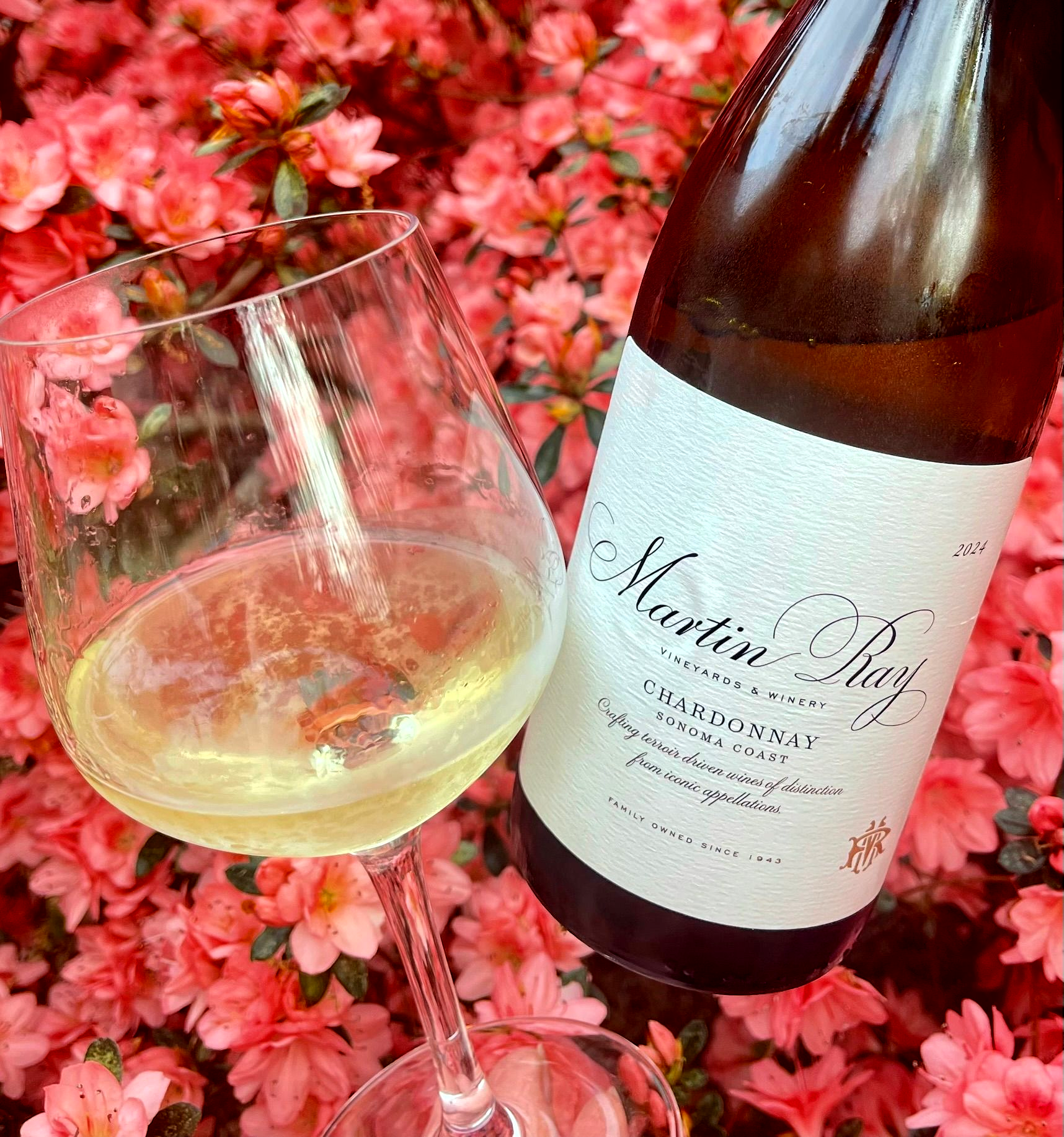 Photography_Wine