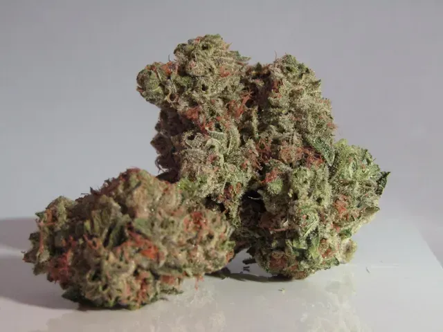 cannabis category photos