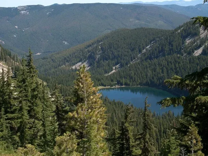 A mountain lake surrounded by evergreen trees, under a sunny sky.
